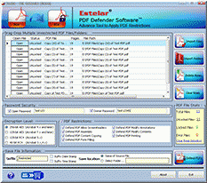 Download http://www.findsoft.net/Screenshots/PDF-Protection-Software-80909.gif