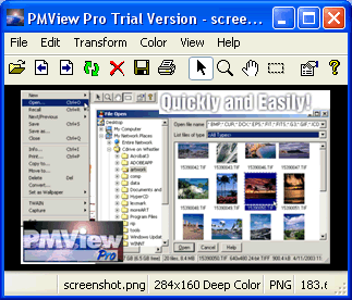 Download http://www.findsoft.net/Screenshots/PMView-Pro-8202.gif
