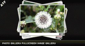 Download http://www.findsoft.net/Screenshots/Photo-Gallery-Fullscreen-Image-Gallery-70928.gif
