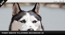 Download http://www.findsoft.net/Screenshots/Power-Website-Fullscreen-Background-V2-0-70952.gif