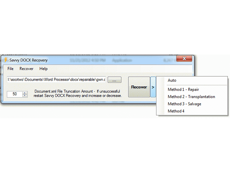 Download http://www.findsoft.net/Screenshots/Quick-Word-Recovery-83122.gif
