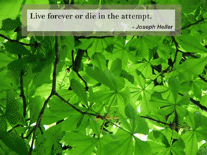 Download http://www.findsoft.net/Screenshots/Quotes-and-Nature-Screensaver-8523.gif