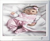 Download http://www.findsoft.net/Screenshots/Reborn-Dolls-15829.gif