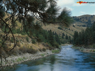 Download http://www.findsoft.net/Screenshots/River-In-The-Woods-Screensaver-68867.gif