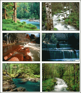 Download http://www.findsoft.net/Screenshots/Rivers-In-Nature-Screensaver-8806.gif