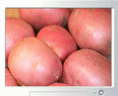 Download http://www.findsoft.net/Screenshots/Root-Vegetables-15198.gif