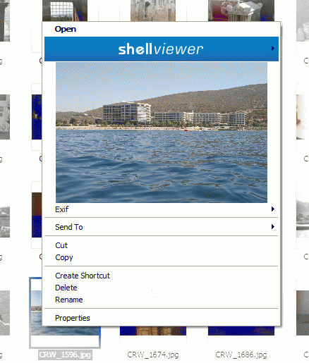 Download http://www.findsoft.net/Screenshots/ShellViewer-17736.gif
