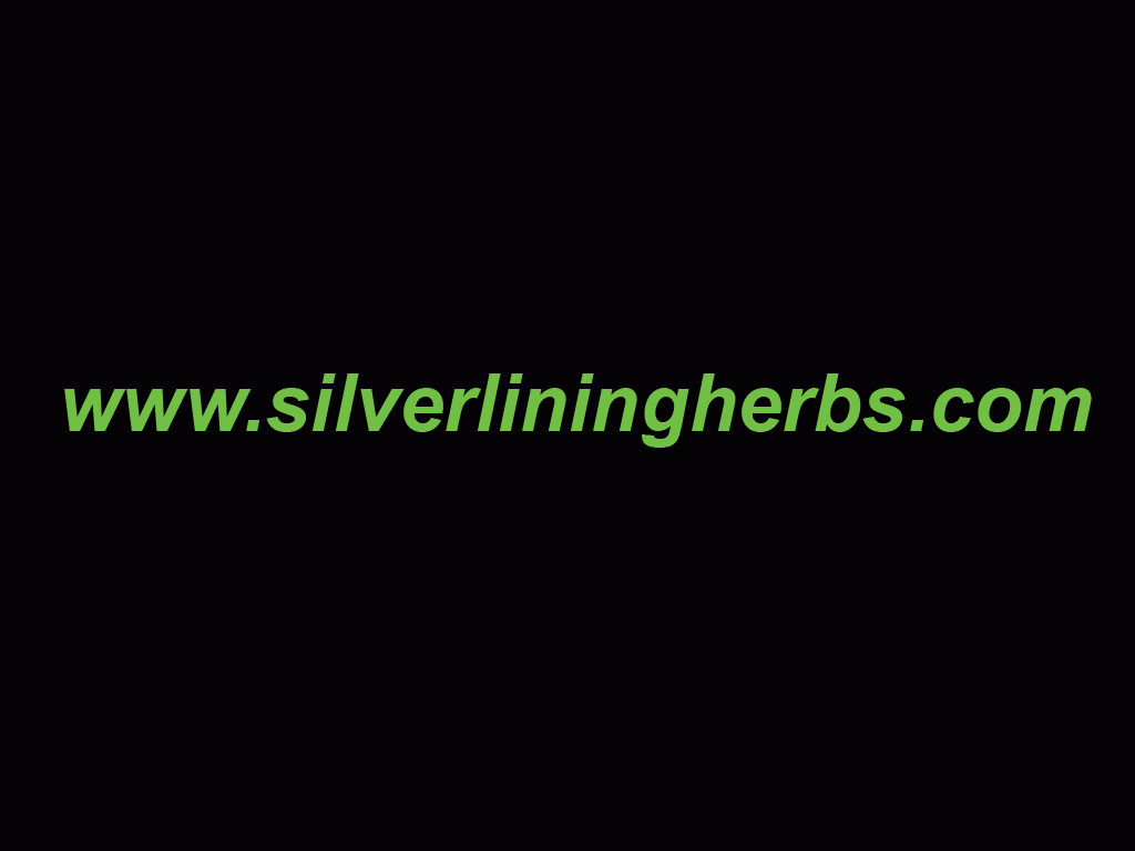 Download http://www.findsoft.net/Screenshots/Silver-Lining-Herbs-Equine-Supplements-26212.gif