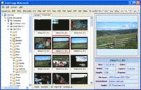 Download http://www.findsoft.net/Screenshots/Total-Image-Watermark-17936.gif