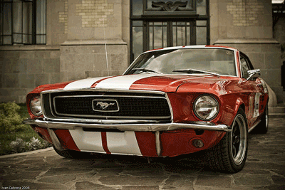 Download http://www.findsoft.net/Screenshots/Vibrant-Red-Mustang-25559.gif