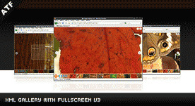 Download http://www.findsoft.net/Screenshots/XML-Gallery-With-Fullscreen-V3-70972.gif