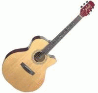 Download http://www.findsoft.net/Screenshots/acoustic-guitar-65924.gif